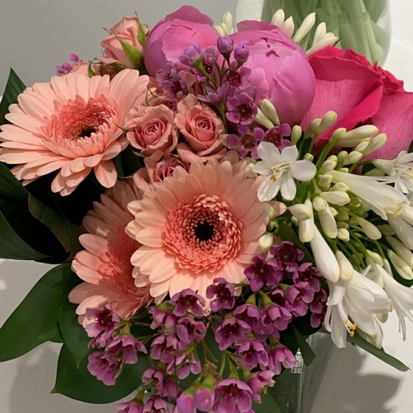 Meet your Posher, Shelby - Picture 1 of 1